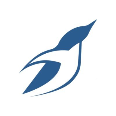 PenguinSwimSG's profile picture. 