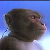 ametsxd's profile picture. #samsunspor #celtics