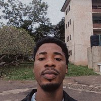 Adefemi Sperrow 🐐 (@dumsperrow) 's Twitter Profile