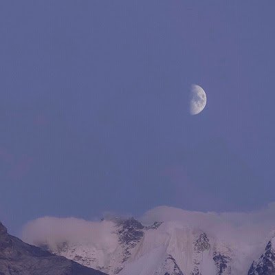 XinRen919783's profile picture. 