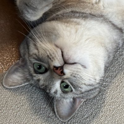 むんさんのプロフィール画像