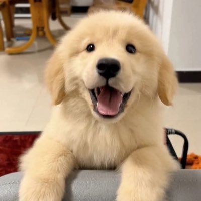 Loanlee205's profile picture. 