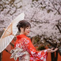 はる (@lwolf3385) 's Twitter Profile
