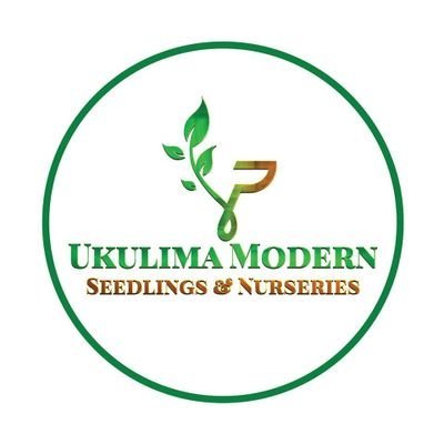 🌱
Seedlings || AgriExtension || Agronomy
🤝 Let's Talk Agri🅑usiness:
https://t.co/S2JIhKLoJi
📱📞☎️+254736096722
📧info@ukulimamodernseedlings.co.ke
