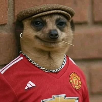 Town planner, Gym enthusiast, social media manager, Portugal! 🔴⚪🔴 Manutd
