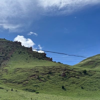 m0106756769495's profile picture. 