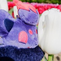 燐光 (@52hz_whale03) 's Twitter Profile