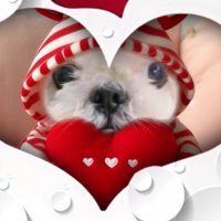 月井久枝 (@bfpgwbnfms40822) 's Twitter Profile Photo