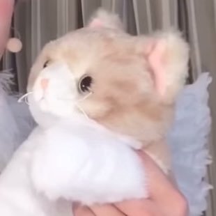 papipupepa_sama's profile picture. 家臣です(•⩊•)