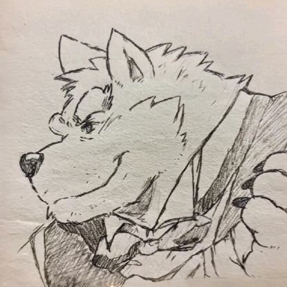 maoping341897's profile picture. 