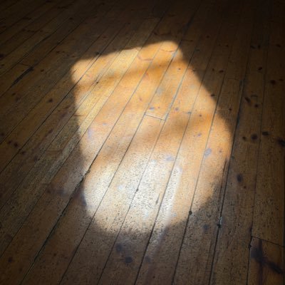 s_eveningstar's profile picture. 댕로🐣 / 스치는대로 스며드는 중