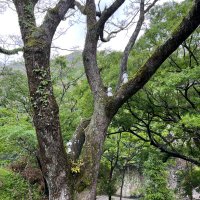 今来未来 (@imakimirai) Twitter profile photo