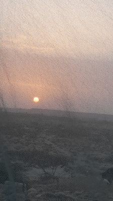 hsn_al66439's profile picture. 