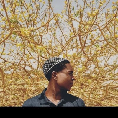 Afoyo_II's profile picture. Accountant// Photographer 
odeafoyo@gmail.com