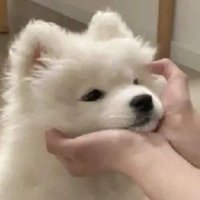 𝒏𝒋𝒕 • ⋆☀︎☽˚.⋆ (@nuttjaetae__) 's Twitter Profile Photo 𝒏𝒋𝒕 • ⋆☀︎☽˚.⋆ (@nuttjaetae__) 's Twitter Profile Photo