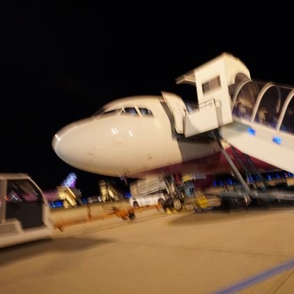 wkchan__0528's profile picture. 