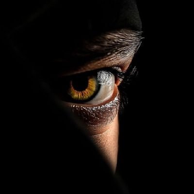 timileyin646's profile picture. Web3 Pro || Content Creator || Content Writer || Crypto Trader || Quantity Surveyor