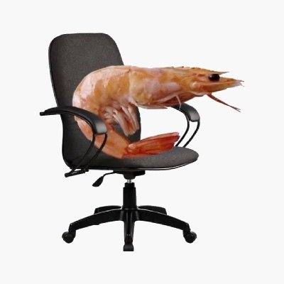 wizardtheartist's profile picture. to feel again