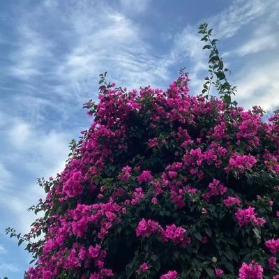 Leejongsuk20301's profile picture. Private Account 🧧🇰🇷