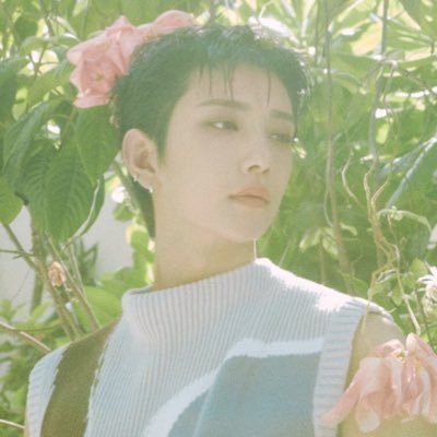 if you ask about love, it’s SEVENTEEN🩷🩵 | reading acc only | twenty something ໒꒰ྀི´ ˘ ` ꒱ྀིა