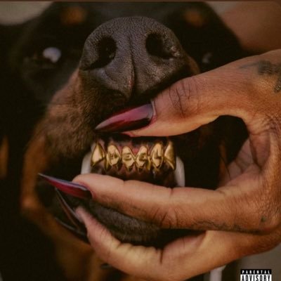 JoyRose68's profile picture. TOTORI