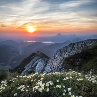 hithe593's profile picture. 