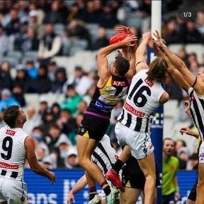 sflkavaliers's profile picture. RFC 🐯 + Inaugural member of the @sfl217. Premiers 2015.