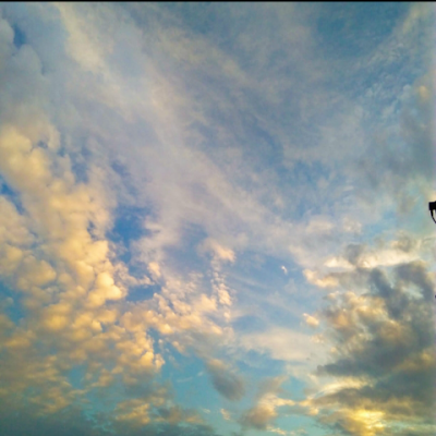 Shalu_0201's profile picture. 