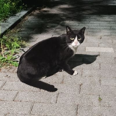 YSukae's profile picture. . .