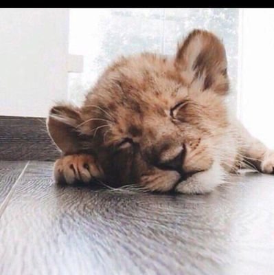 __Rafael_ke's profile picture. @ManUtd