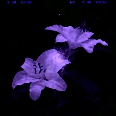 _gh08ty's profile picture. Most things i think of i put here.