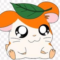 アボカドン🫷 (@abogadonboo) 's Twitter Profile