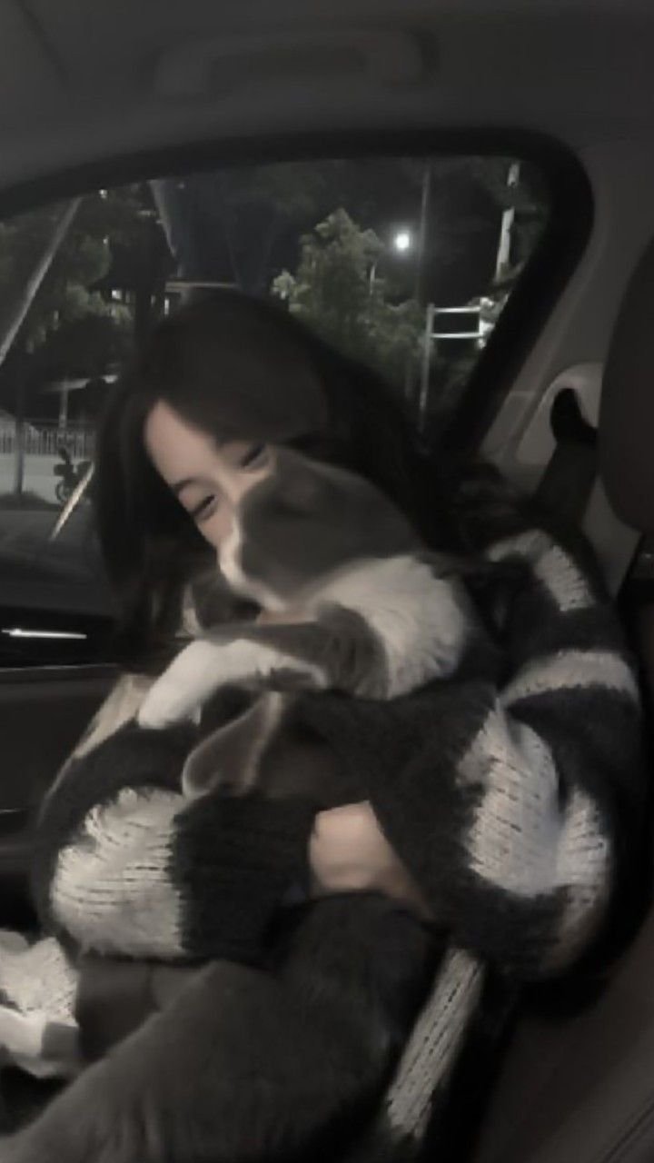 0312_kayo's profile picture. 合成音声ファンアカウント(結月ゆかり、紲星あかり、双葉湊音、彩澄りりせ、彩澄しゅお、夏色花梨、つくよみちゃん、春日部つむぎ) SDVX(F.MINATO、21.065)/弐寺(九段) /崩壊3rd/Cookie Clicker/@JK_asamiyuukaでした 23歳児