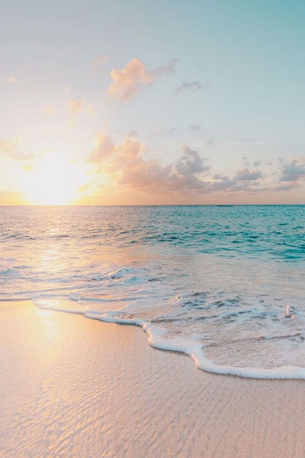 0z_699's profile picture. 台湾出身/ACGすき/日本語勉強中