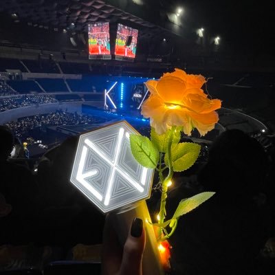 lynxxx_7's profile picture. 엔소 ✨~