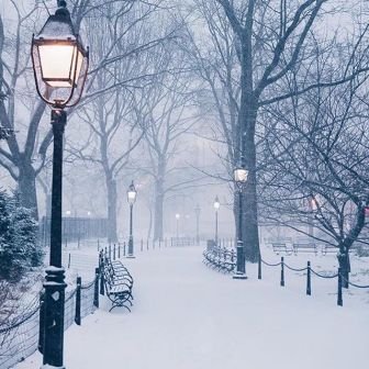 dandymk's profile picture. ゲーム垢です！！！ プレイは下手ですが、皆さんと楽しくプレイ出来れば嬉しく思います！ よろしくお願いします！