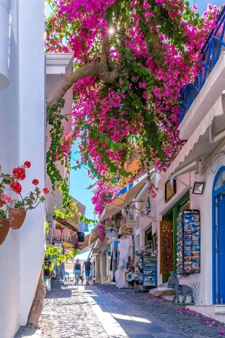 IkutoMiyuka's profile picture. ACG。ENGLISH。JAPAN CULTURE。        博丽灵梦（最爱），喜欢无节操的巫女。