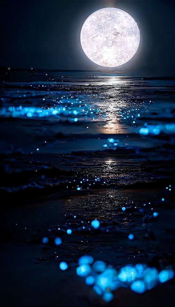 izumi15420275's profile picture. 日常の話やゲームの話を気分でツイートしていきます。特に任天堂やにゃんこ大戦争が好きです