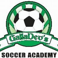 GallaDev's Soccer (@galladevs) 's Twitter Profile