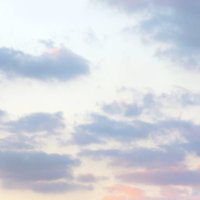 ちやち (@liltora) 's Twitter Profile