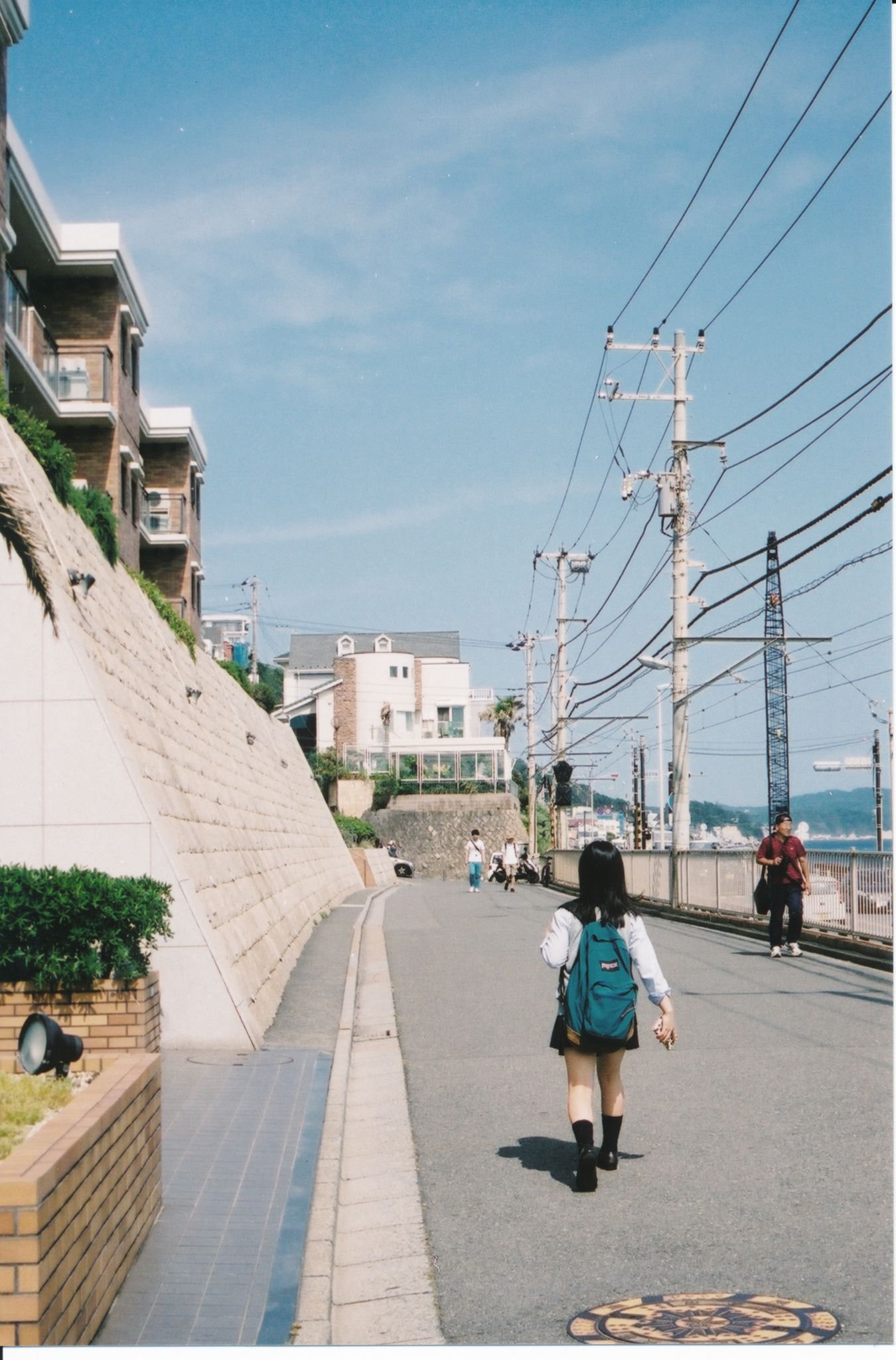 markmeredith21's profile picture. にゃんこ大戦争  UR12500  0レジェ最新まで