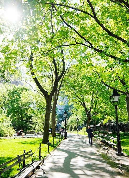 mioko0828's profile picture. AI生成でイラストや曲を作って遊んでます✨XではAIイラスト投稿を中心にしてますので仲良くして下さい🌟AI絵師さんは基本フォロバします💡無言フォローをお許しください💦YouTubeでAI曲を投稿中🎵聴いてもらえるととても喜びます🥹ヘッダーのウチの子の名前はアカ名と同じで「シージ」といいます🔰