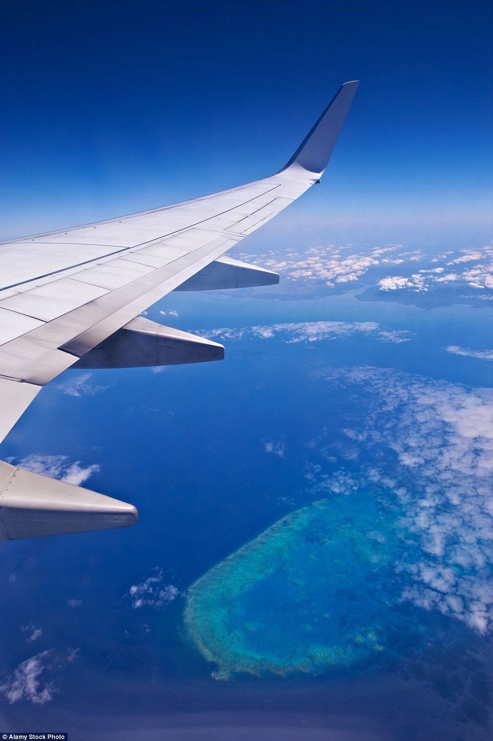 Miwashi1018's profile picture. 最近VRC始めました！