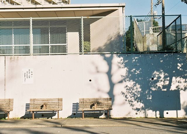 momo23687038's profile picture. なんか吐く