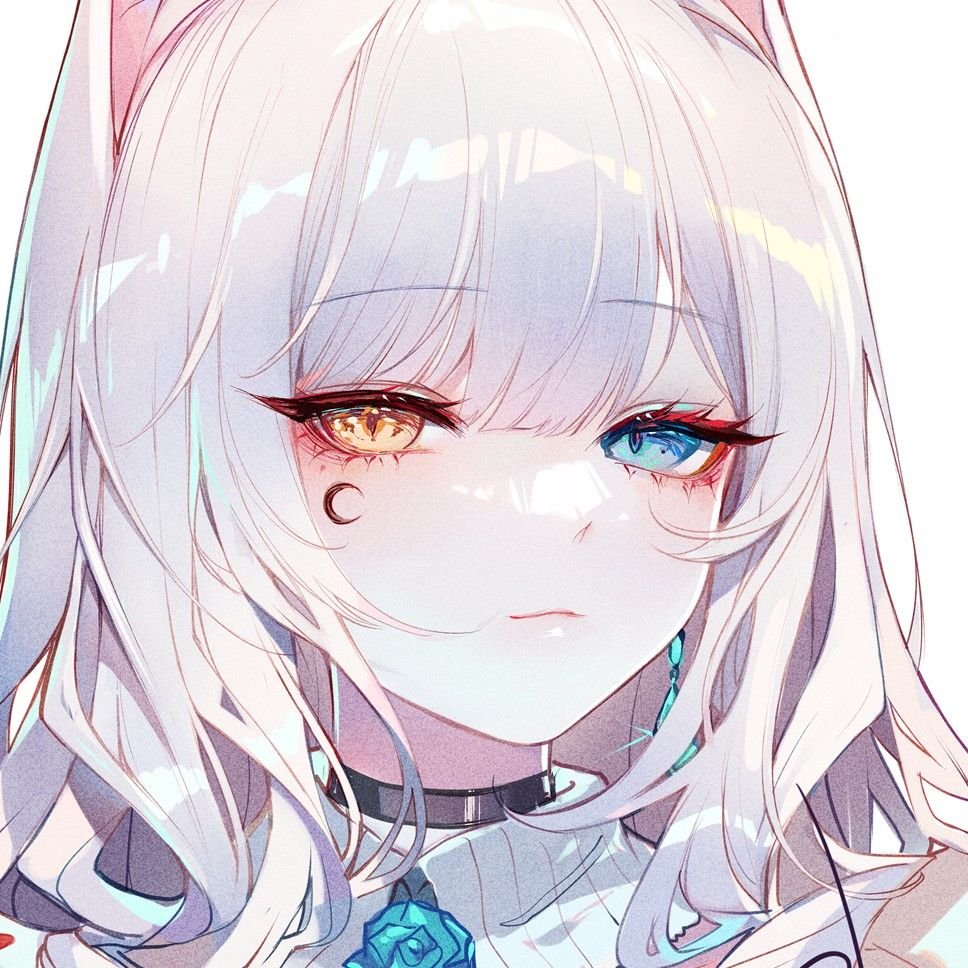 noripicopico's profile picture. 【#ギリギリ選手権】   これはアウト？セーフ？   リプに動画貼っとく。