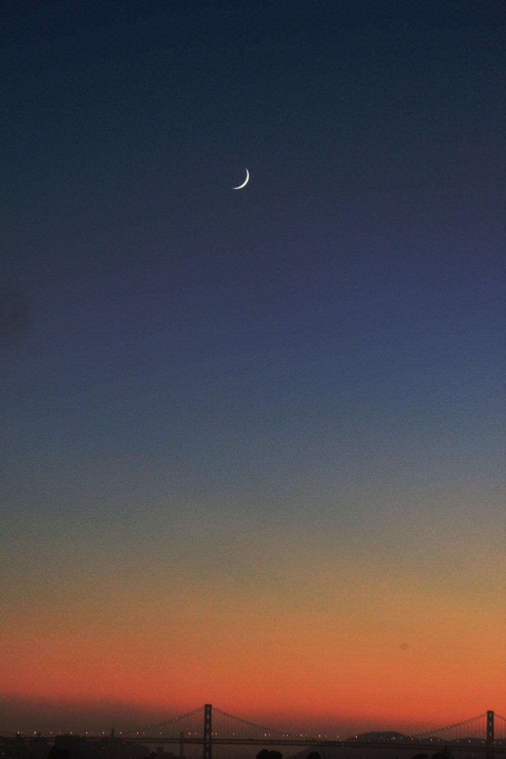 Pt09330830's profile picture. アークナイツ、ワイルズ