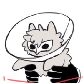 イカシンさんのプロフィール画像