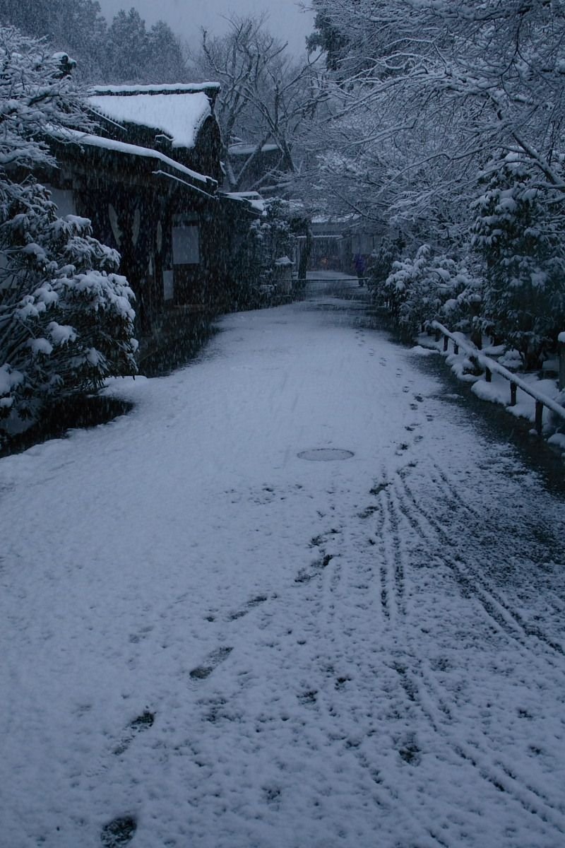 ten30real14's profile picture. ゲームは最近APEXか雀魂しかやってません。雀聖2。パチスロは基本的に期待値稼働。Mリーグはドリブンズ、パイレーツ推し。漫画、ぶいすぽが好きです。 【アニメ】【漫画】【麻雀】【パチスロ】【ぶいすぽっ！】【小森めと】