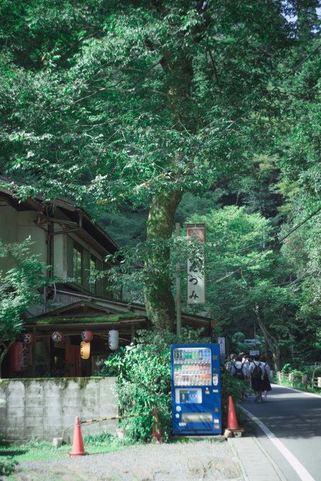 yoshina1221's profile picture. 名古屋公演絶対当てる最高レート2300くら い 庶幾の唄、lovin'、folktaleが好き@tonarino_sb