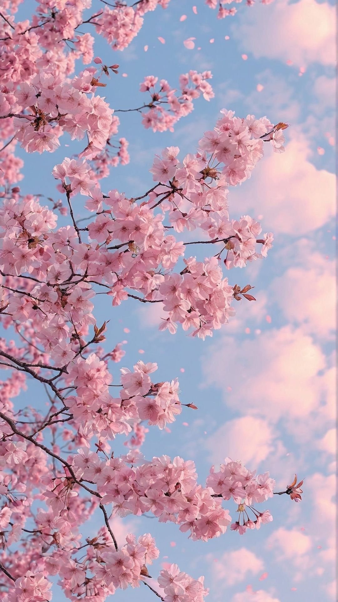 yuizu_t's profile picture. 想结交很多朋友，不管是中国的还是外国的